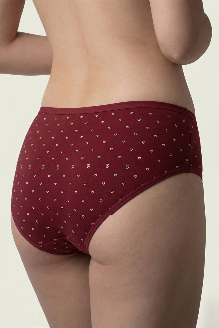 Zivame Medium Rise Full Coverage Hipster Panty (Pack of 3) - Multicolor — image 4